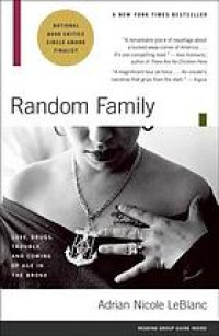 Random family: love, drugs, trouble, and coming of age in the Bronx